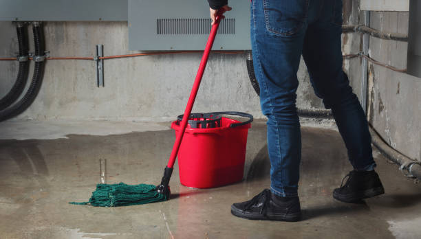Best Flooded house restoration  in Scottsville, KY