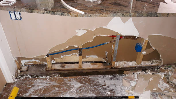 Best Fire Damage Restoration  in Scottsville, KY