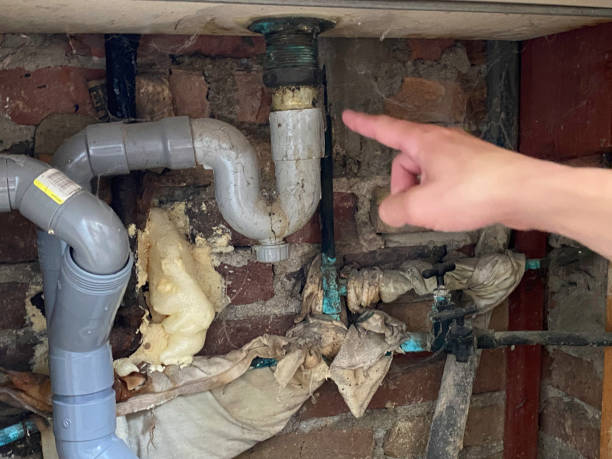 Best 24-hour water damage restoration  in Scottsville, KY